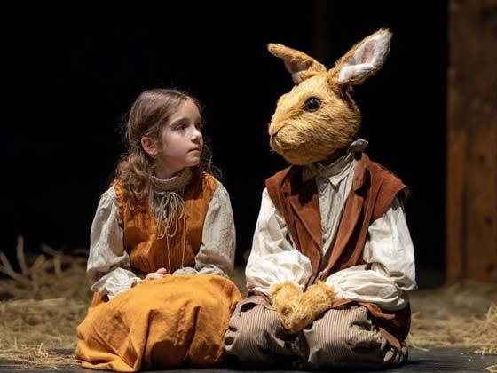 Into the Burrow: A Peter Rabbit Tale